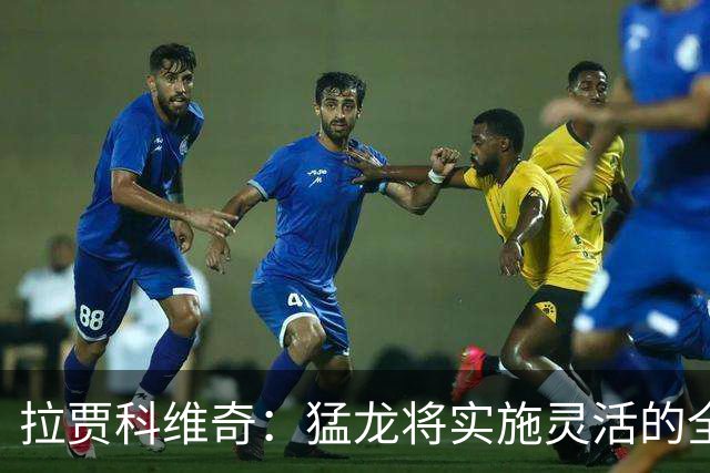 拉贾科维奇：猛龙将实施灵活的全面篮球战略